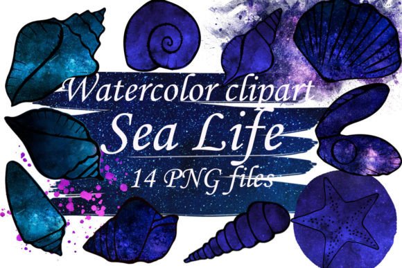 Watercolor Sea Life Clipart Sublimation